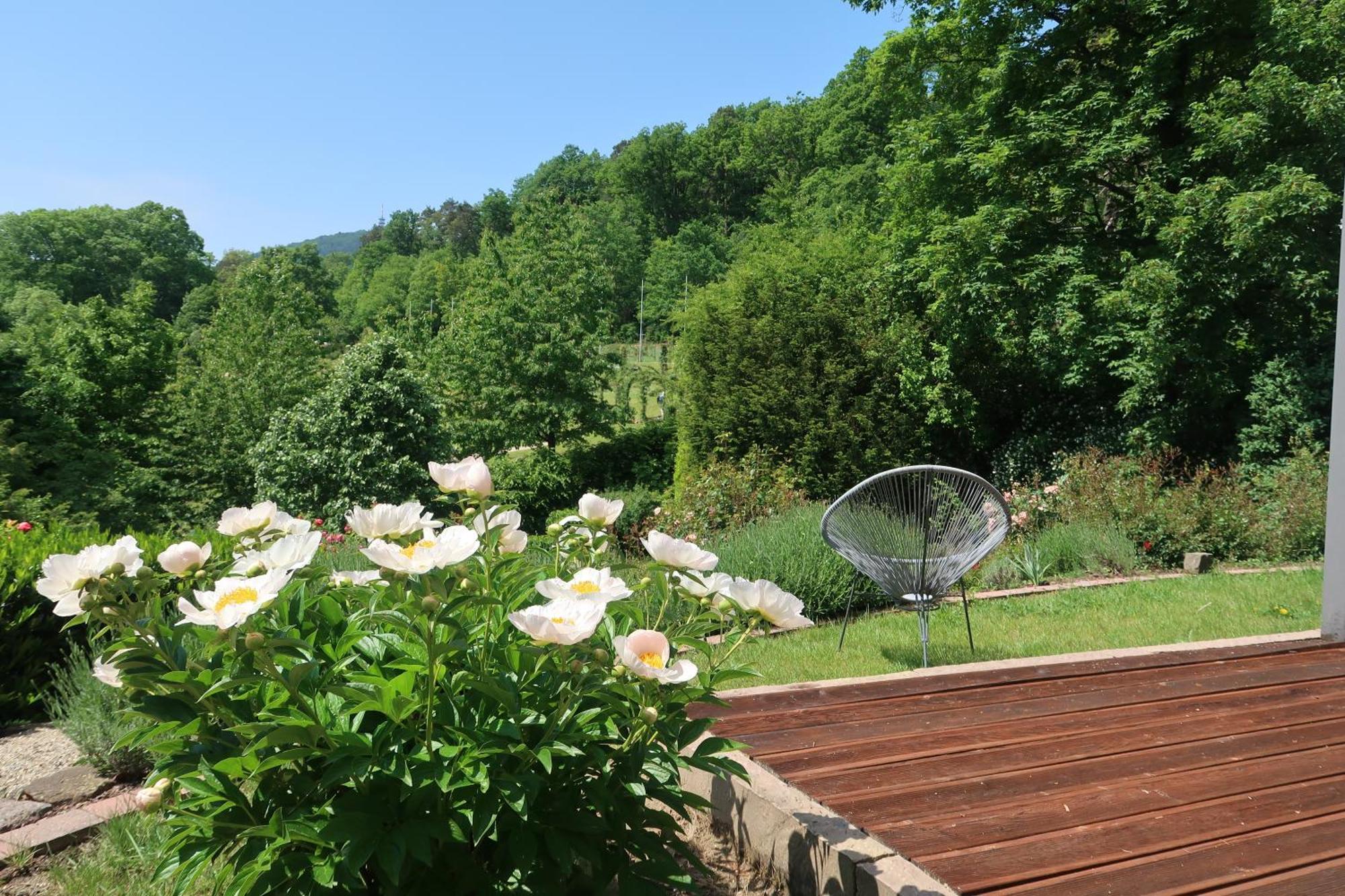 Apartment Im Rosentraum Mit Privater Terasse Baden-Baden Ngoại thất bức ảnh
